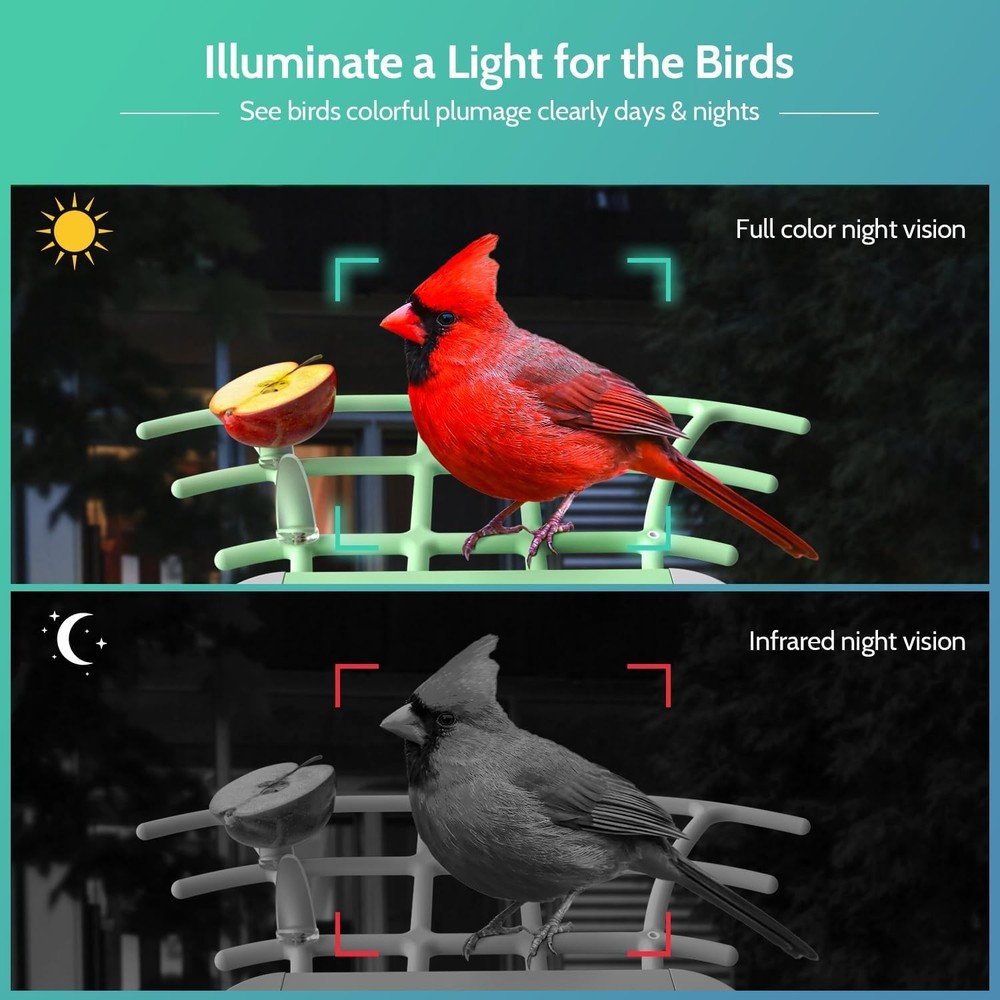 Bird Feeder with Camera, Smart Bird Feeder Camera with Solar Panel, AI Identify