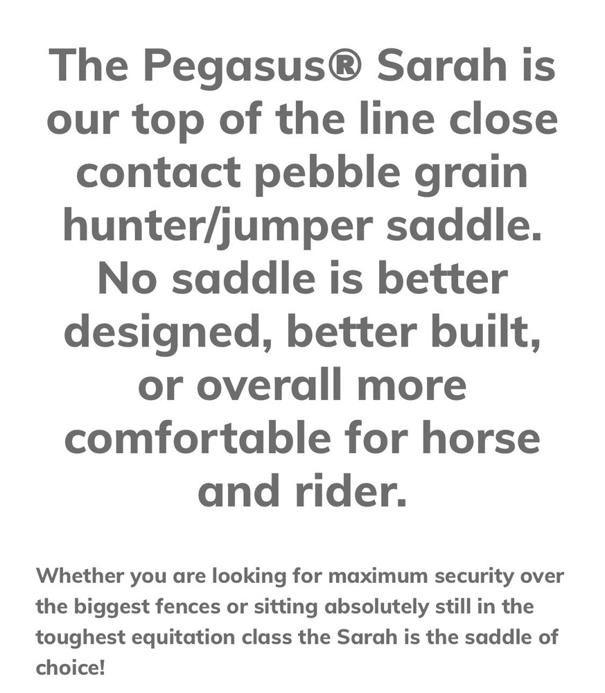 Pegasus Butterfly Sarah Jumping Saddle