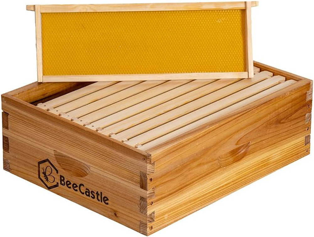 10-Frame Medium Super Bee Hive Box with Beeswax Dipped Frames (Unassembled)