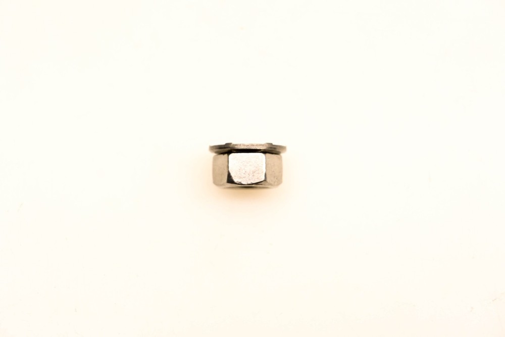 OMC 316355, 315204 Nut NOS