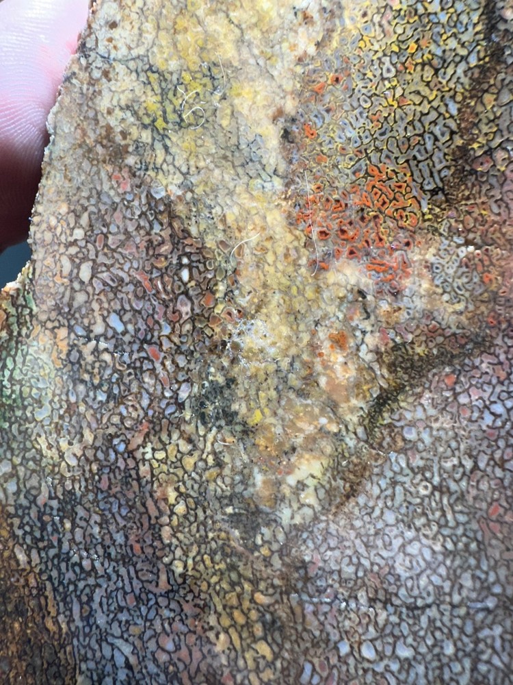 Dinosaur bone rough **hxtled slab.