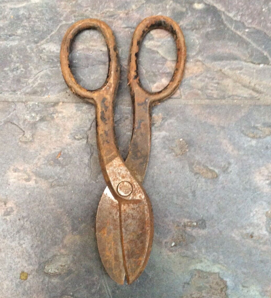 Vintage Blue Bird (?) Short Tin Snips