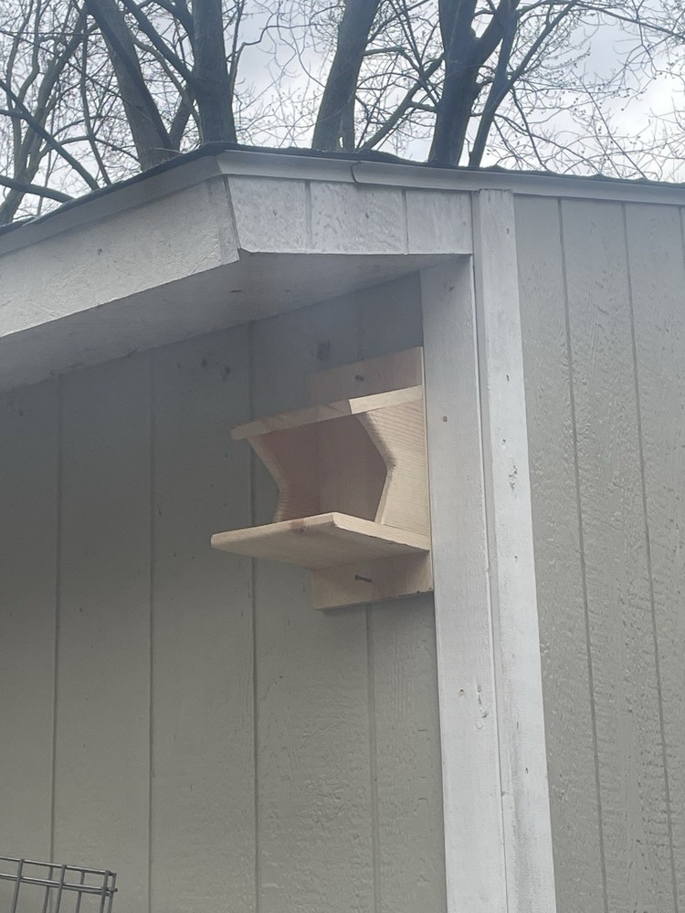Pine Wood Robin Nesting Box~Dove Nesting Box~Cardinal Home~phoebe Nesting Box