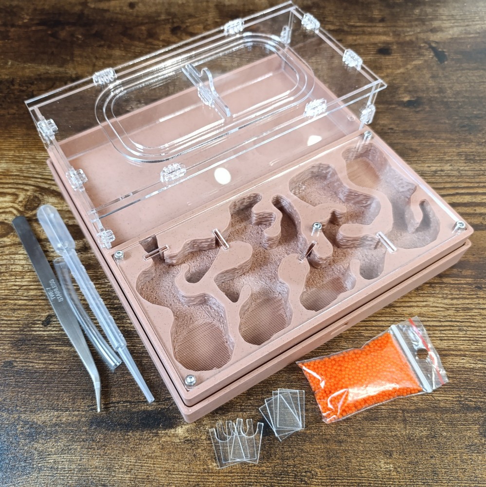 Ant farm " "Easy Start PLUS"