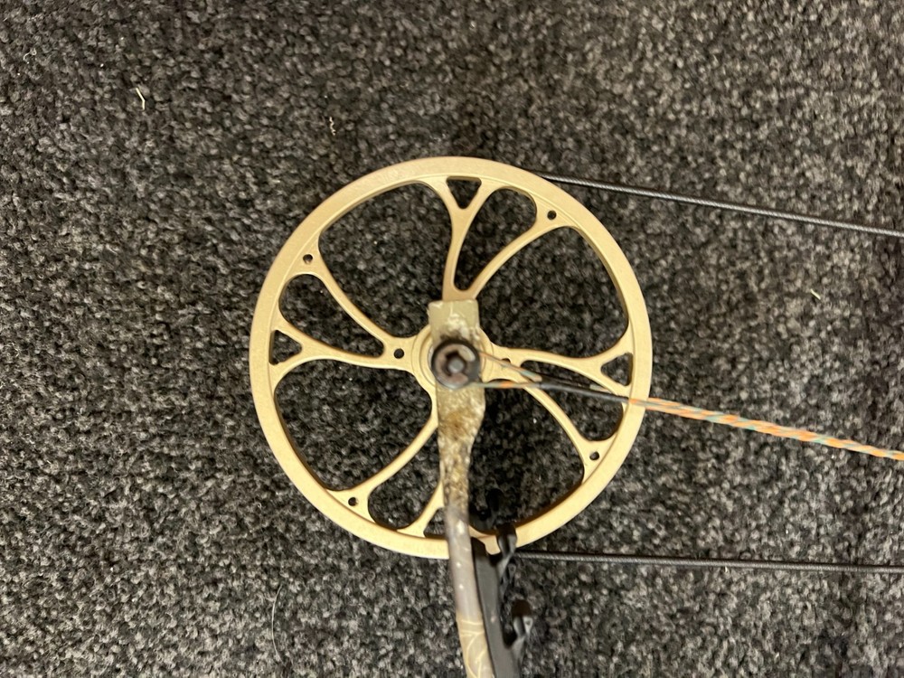 bear approach compound bow