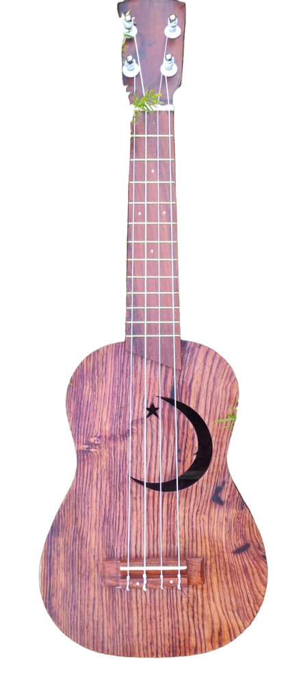 Moon and Star Hand-made Ukulele
