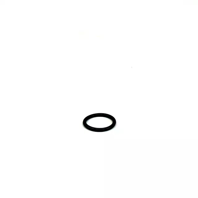 Genuine Audi Seal Ring WHT-002-789