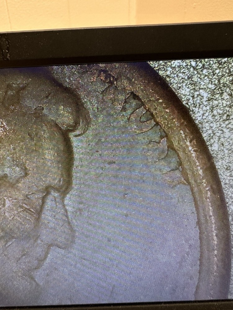 1969 D Penny Planchet Error Doubling In One Cent Error On Date Struck On Grease