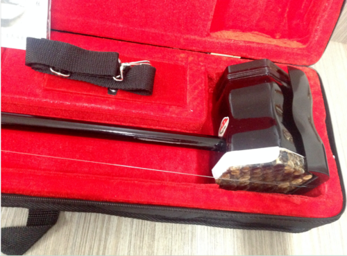 Erhu, Chinese 2-stringed Fiddle, Solid Timber Body,Neck+ Foam Case, Extra String