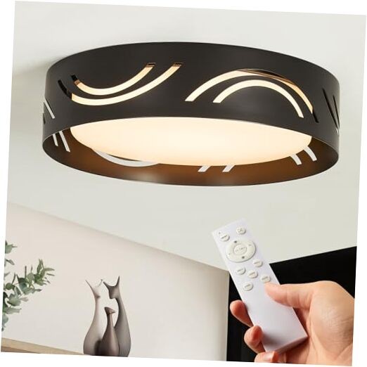 Modern Dimmable LED Ceiling Light Fixture with Remote general purpose Black