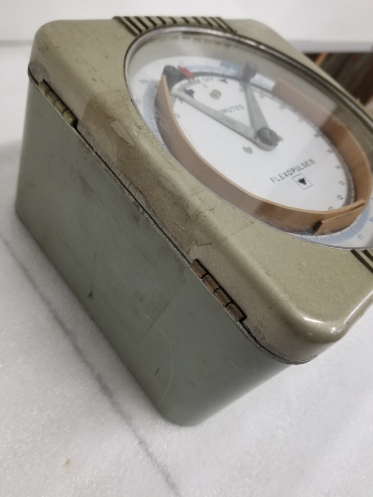Eagle Signal HG94A603 Flexopulse 20 min. Timer 120V 10A