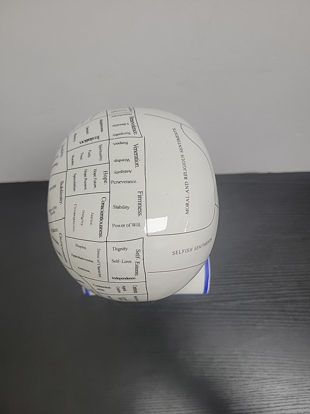 Phrenology Head 12" Ceramic Model Bust L. N. Fowler