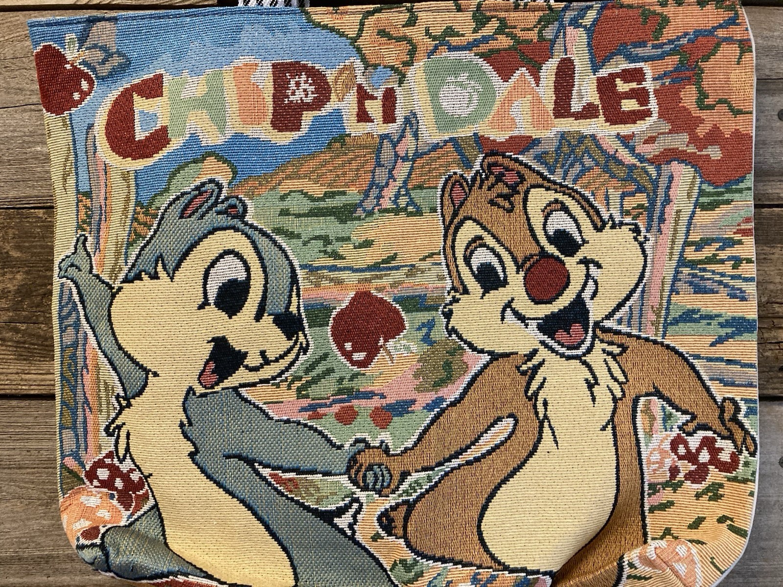 Chip 'n Dale Tote Bag Disney Embroidery Canvas Tote -NEW