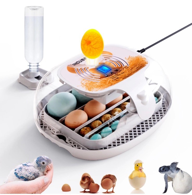 Egg Incubator with Humidity Display,Automatic Egg Turner, LED Egg Candler READ