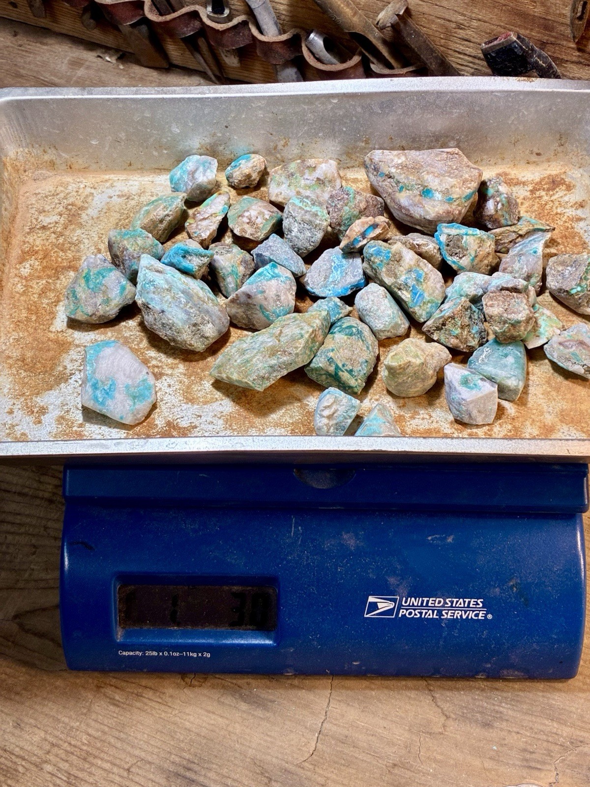 1 Lb of Skinny Turquoise Mountain Nugs! Now Available Again! ￼