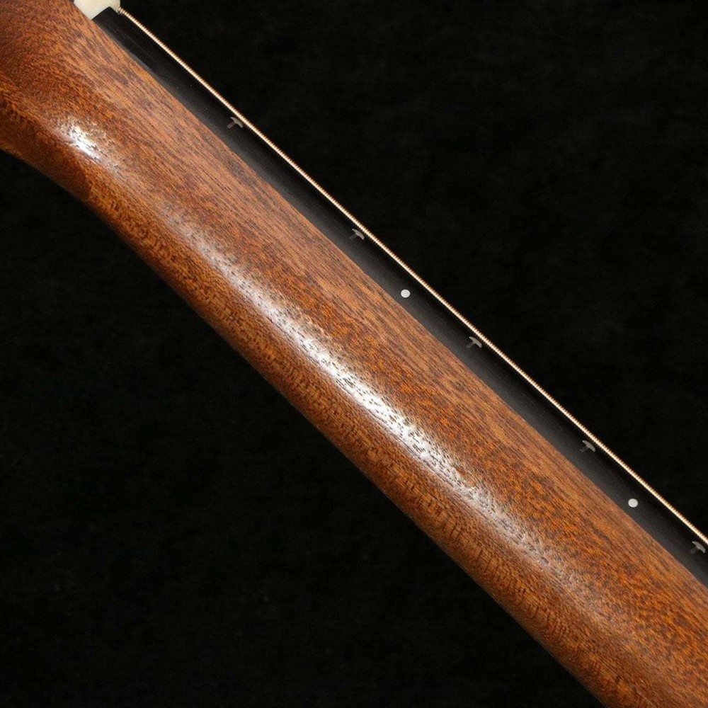 Taylor GS MINI (no260421)