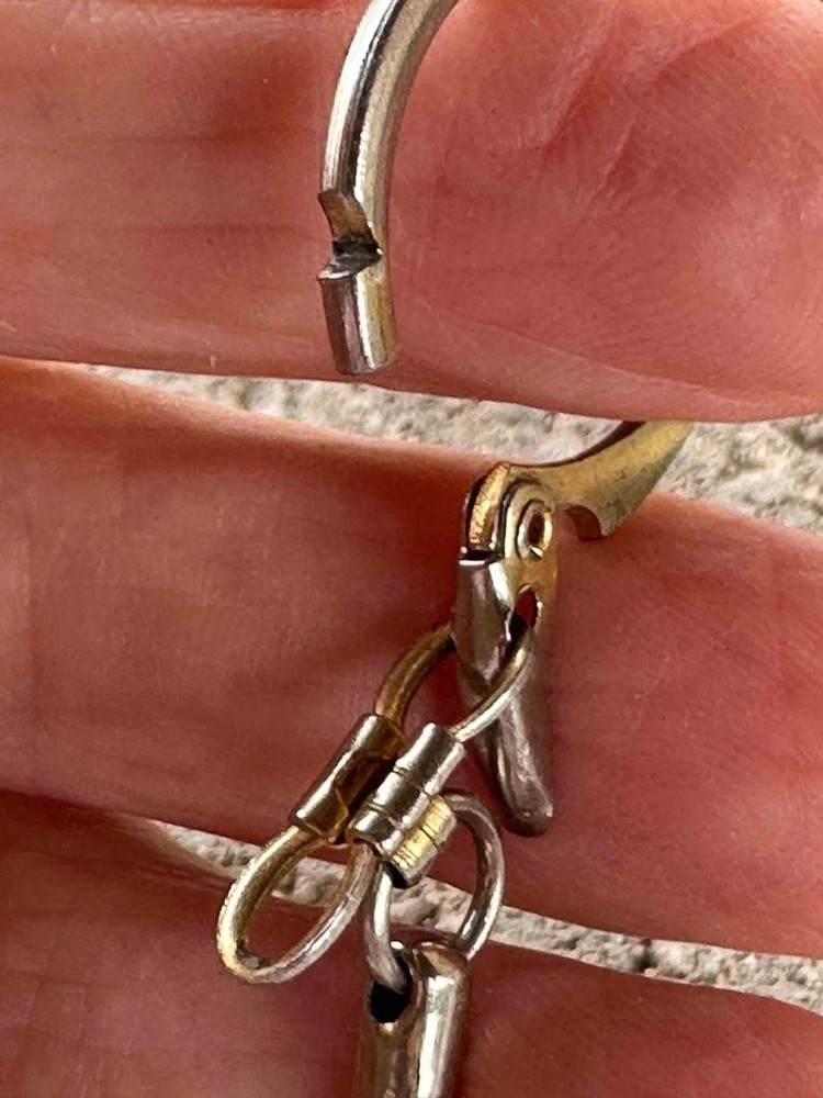 Vintage Brass Lion Key Chain
