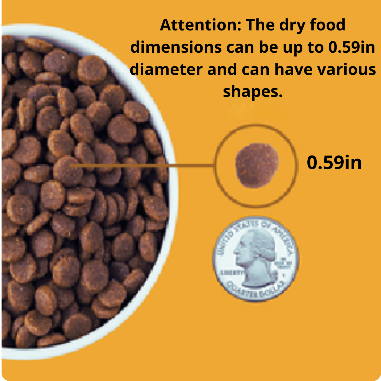 Automatic Dog Feeder Food Dispenser with Timer Care for Your Large and Small Pet