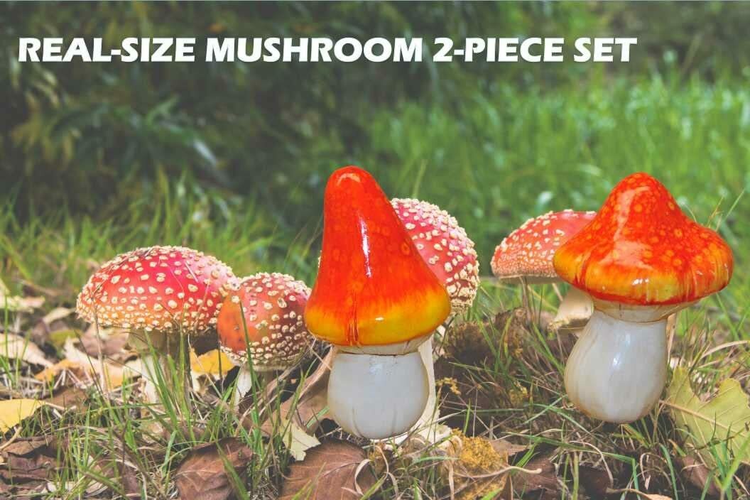 G & F 10042 MiniGardenn Fairy Garden Miniature Mushroom Statue (Set of 2)