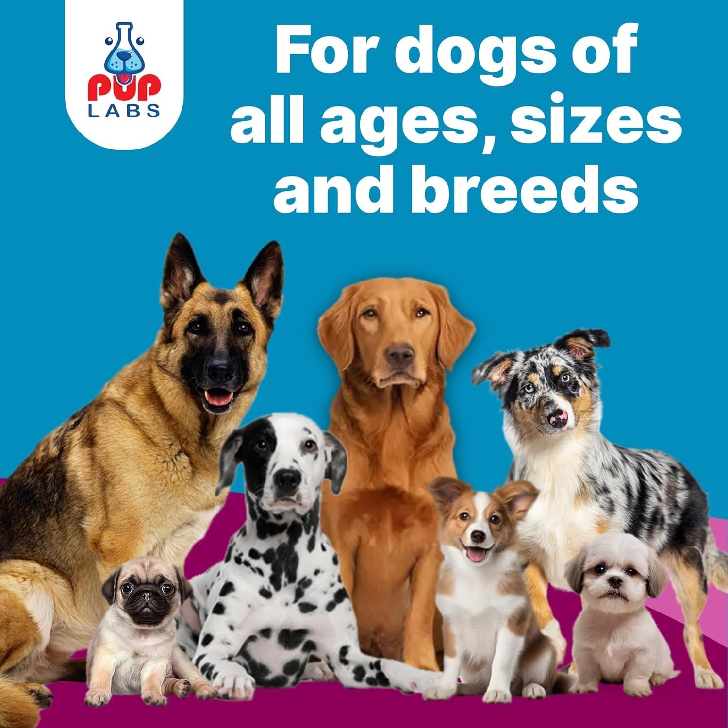 Pup Labs K9 Belly Bliss, All-natural Gut Health for dogs, Vet Approved Preb....