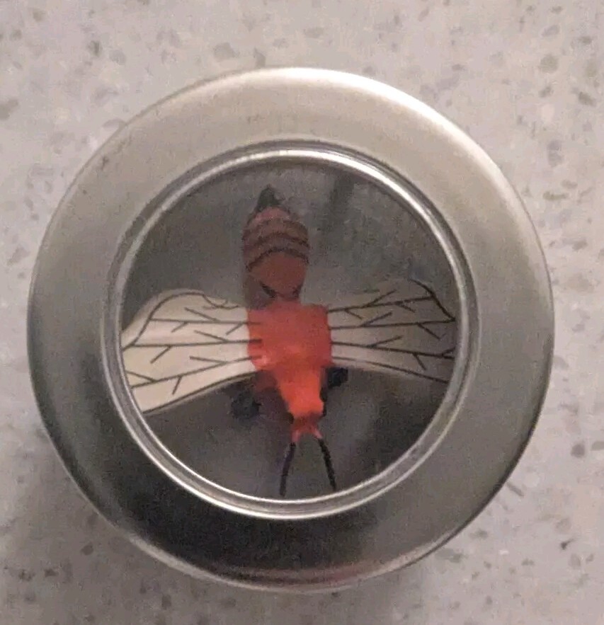 Magnetic Dragonfly In Bug Box Science Project, Refrig Magnet, Or Just Fun!