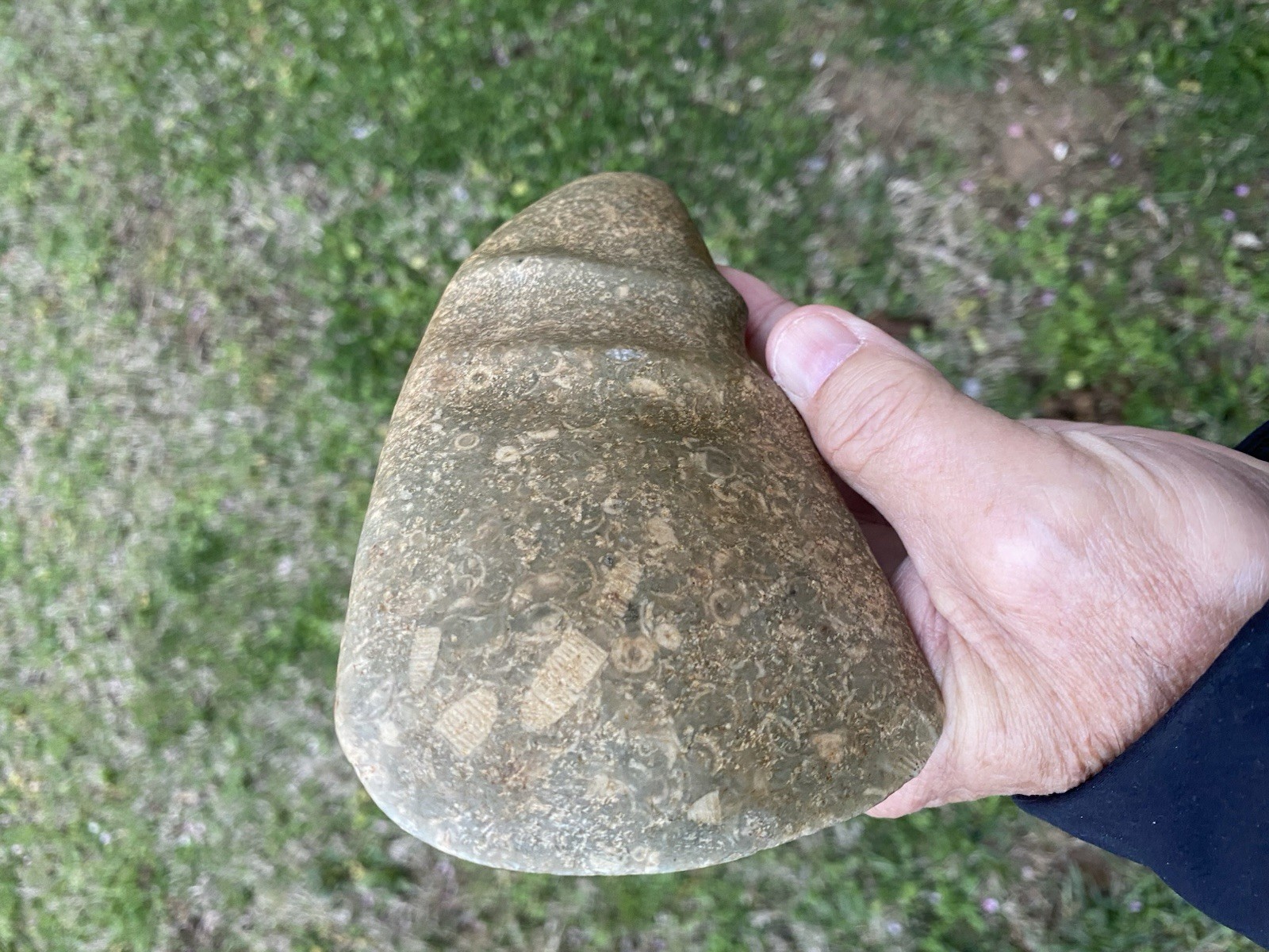 Native American Stone Axe Head