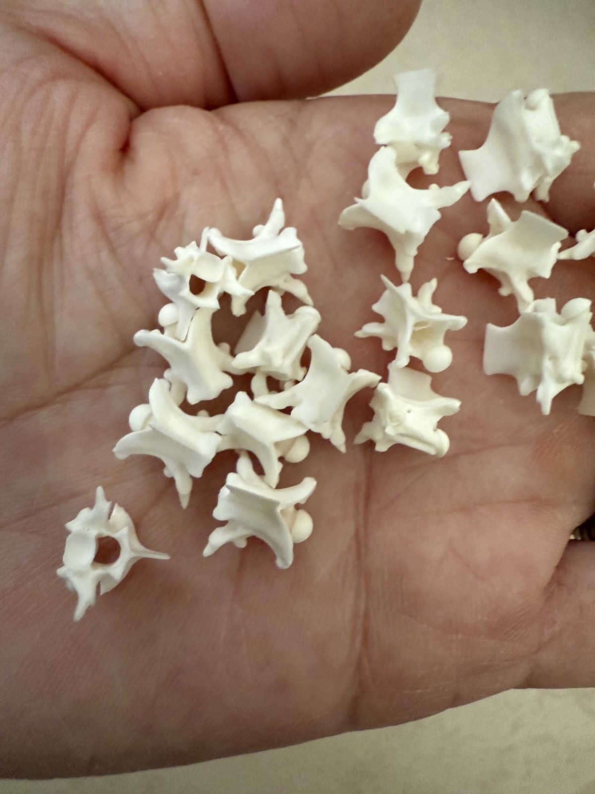 Rattlesnake Vertebrae 20pc Lot Mixed Size Snake Skeleton Taxidermy Bone