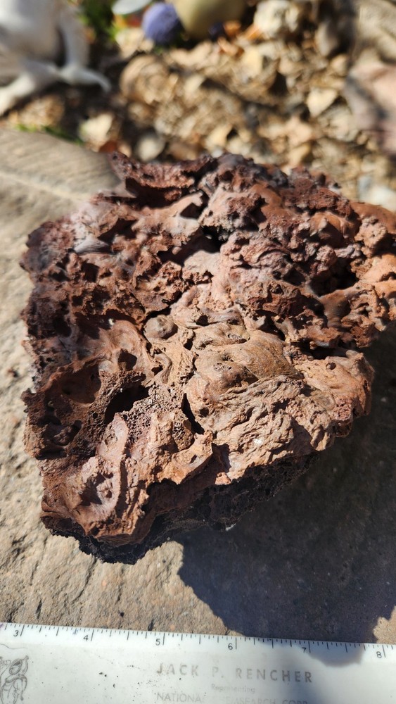 RED LAVA ROCK 8 " X 7 " FREE SHIPPING.