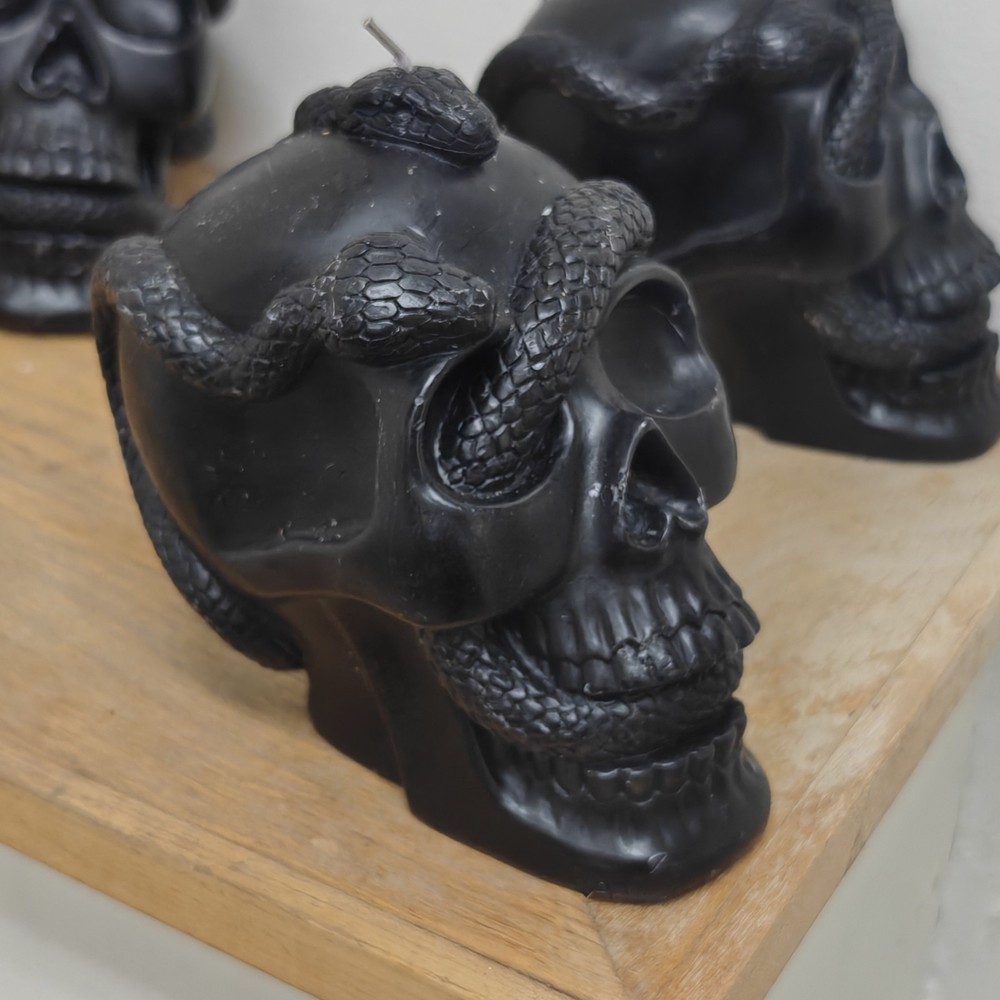5.1'' Skull and Snake Candle Black - Threshold Target