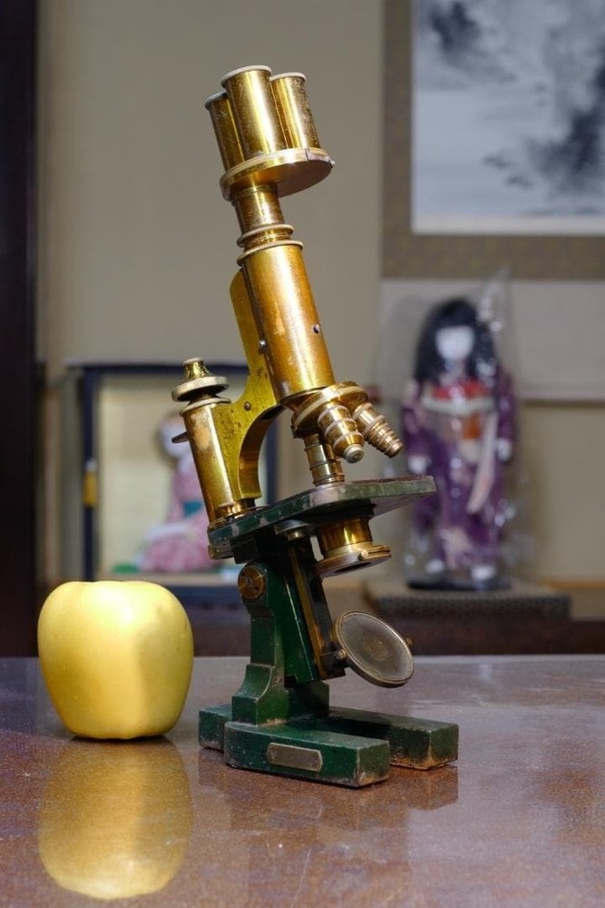 Antique E. Messter Universal Bacterial Microscope 1880s Quick Lift Patent