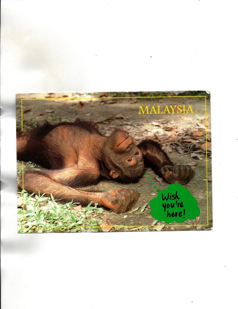 Brunei 1997 to Canada Sc#509