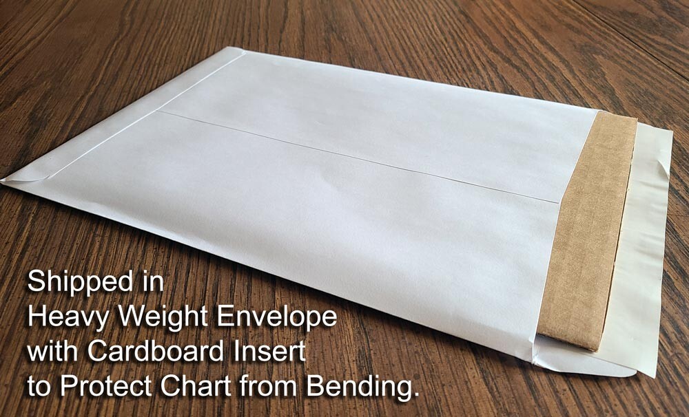 Laminated Guitar Beginner Chord Chart 8.5x11 Chords Fingerboard Notes