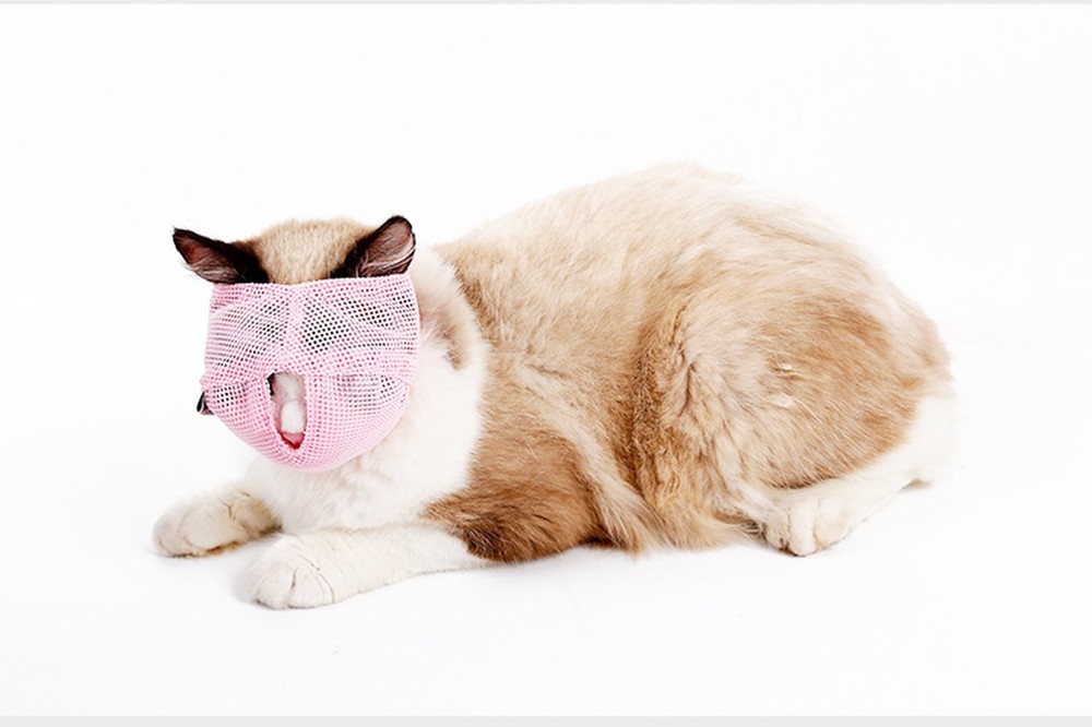 Breathable Mesh Cat Muzzles Prevent Cats Kitten from Biting Chewing, Small