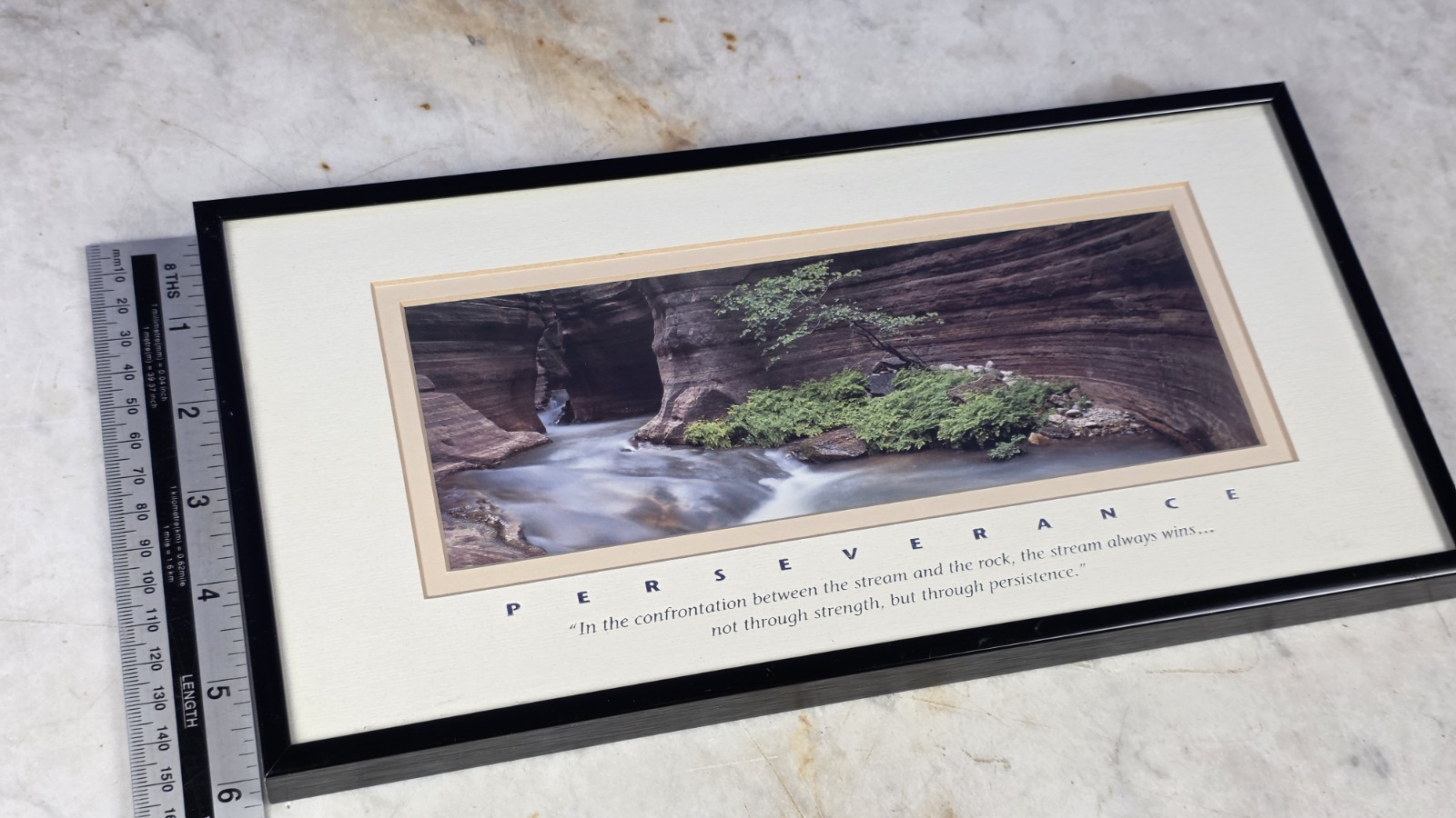 "PERSEVERANCE" Professional Framed Artwork - DECOR