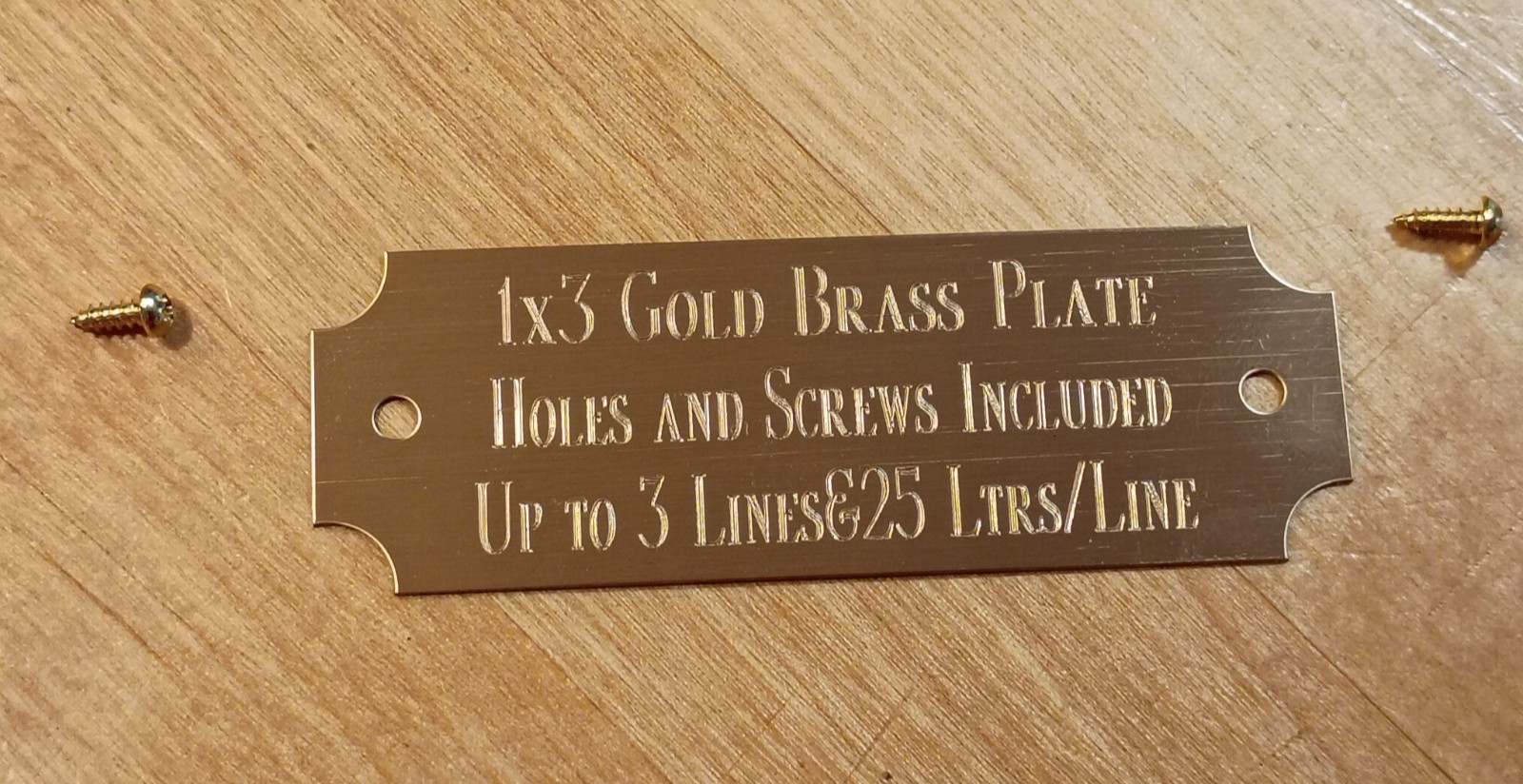 1"x3" GOLD BRASS NAME PLATE ART-TROPHIES-TAXIDERMY-FLAG CASE, with screws