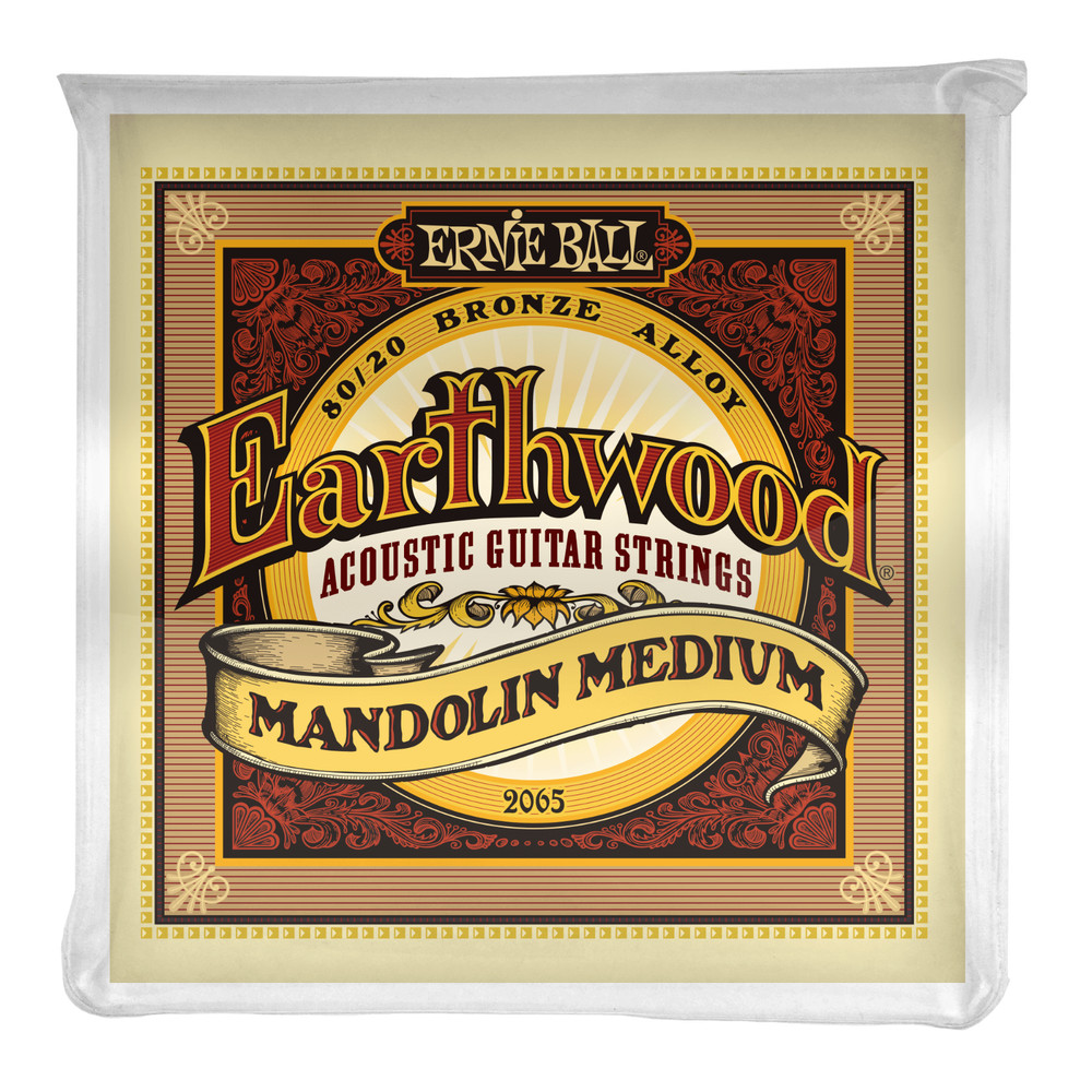 Ernie Ball Earthwood Mandolin Medium Loop End 80/20 Bronze Strings P02065