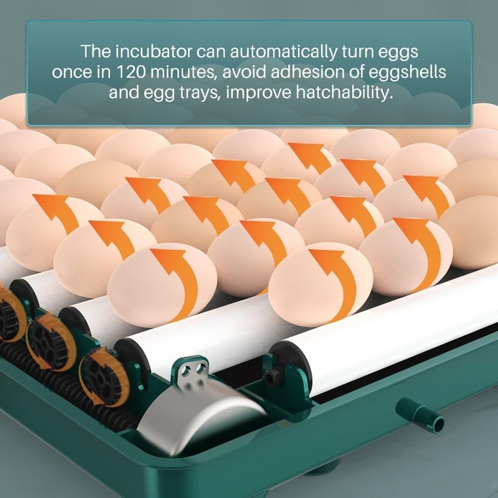Automatic Egg Incubator 12-38 Egg Digital Poultry Hatcher Machine (12 Eggs)