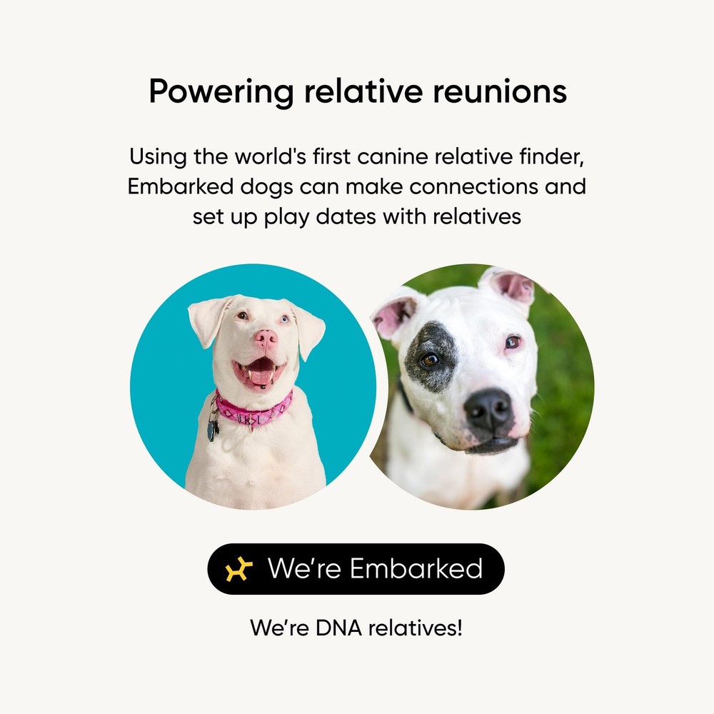 Breed Identification Kit - Most Accurate Dog DNA Testing Kit - 99% Breed Ance...