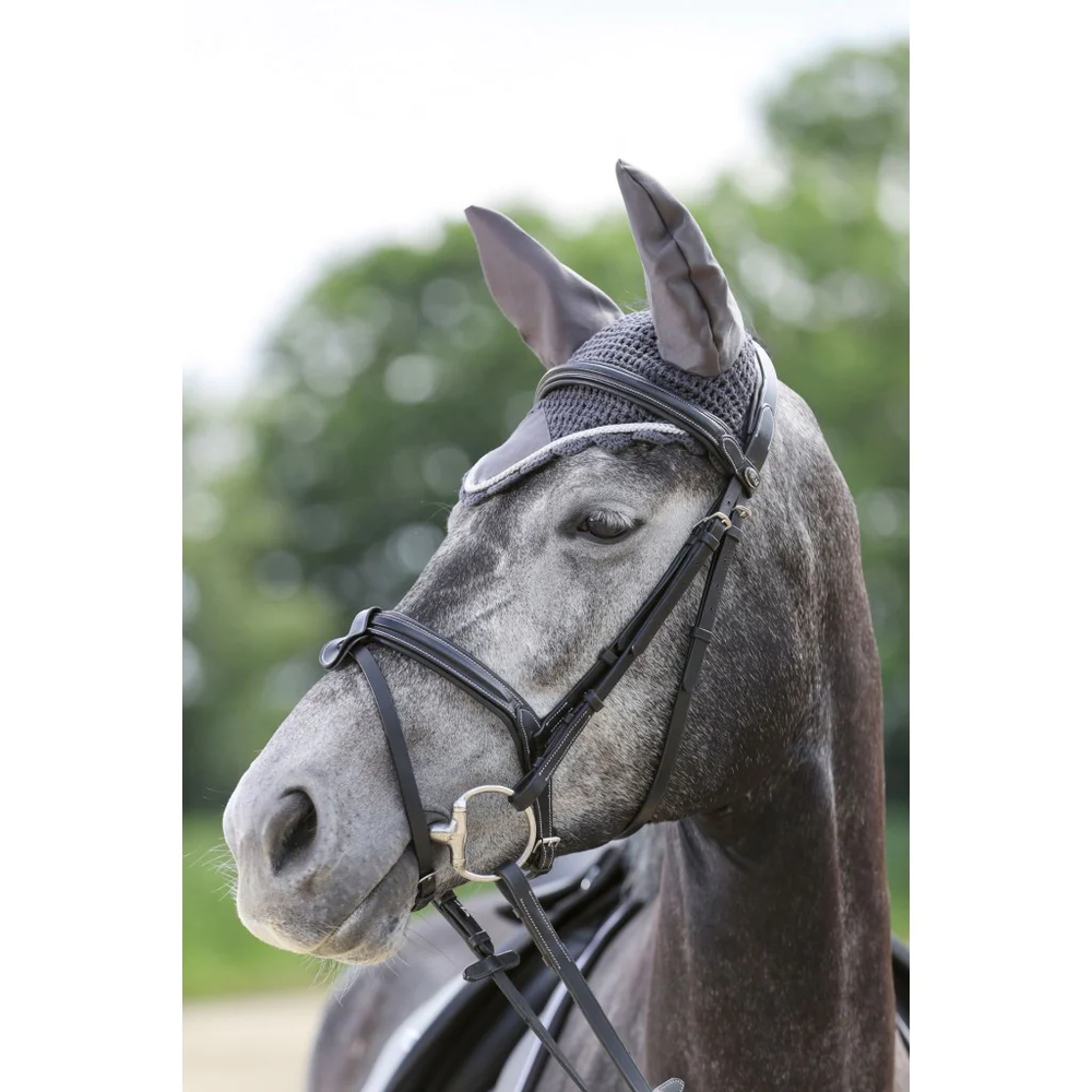 Deep Blue/Gold Ear Bonnet