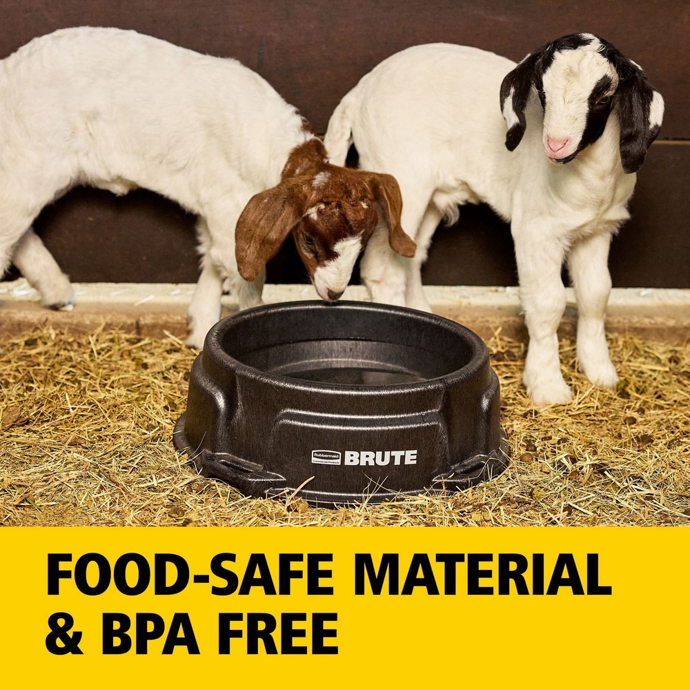6 Gal Animal Feeder W/ Rustproof Frame & Stackable Design for Livestock