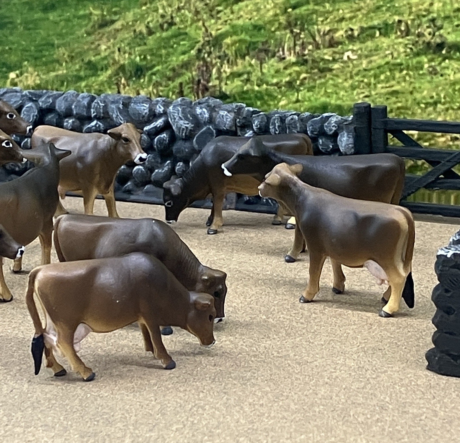 Custom CM Ertl 1:64 Lot Of 12 Jersey/Brown Swiss Milk Cows Cattle Farm Scene