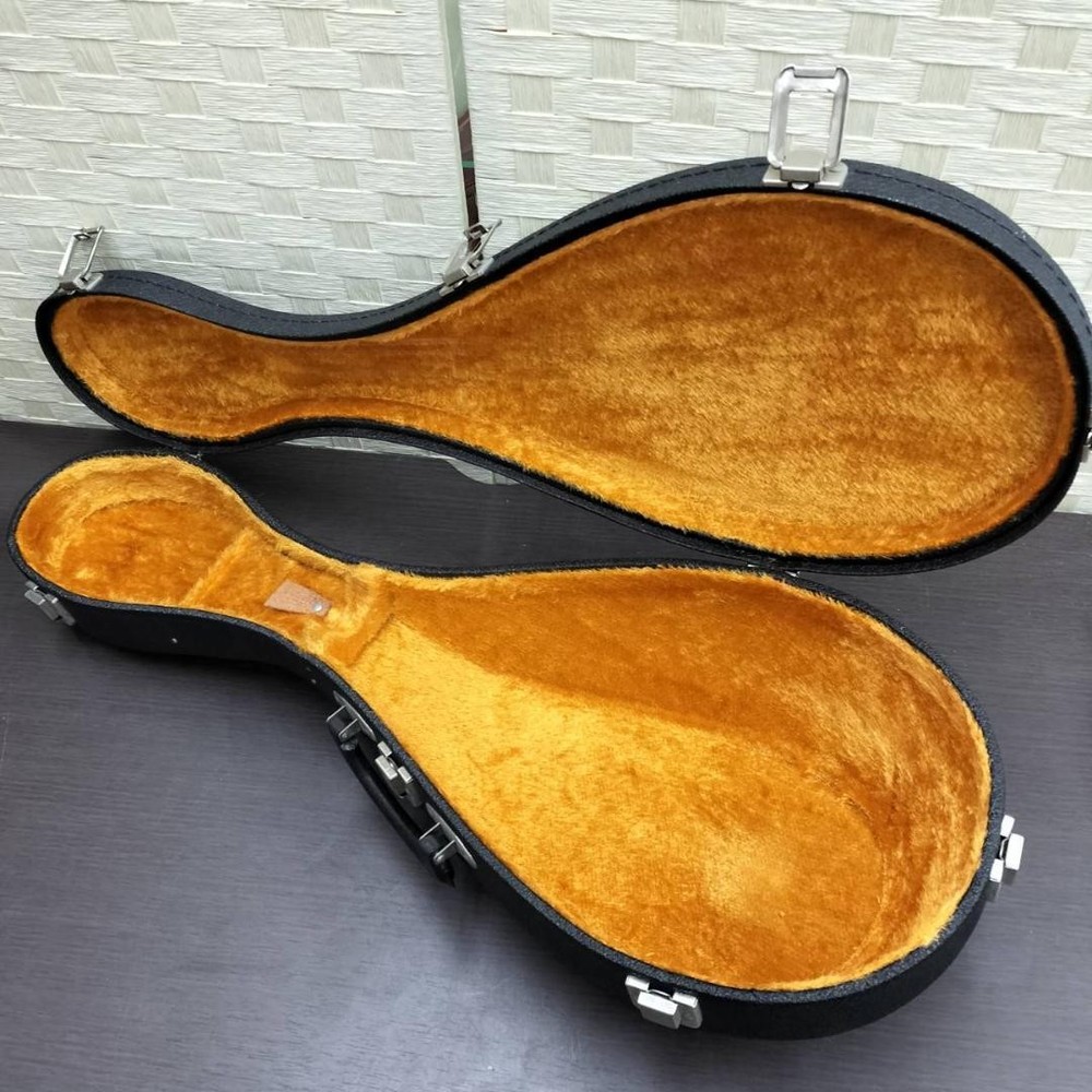 ◇Mandolin SUZUKI M-215 with hard case