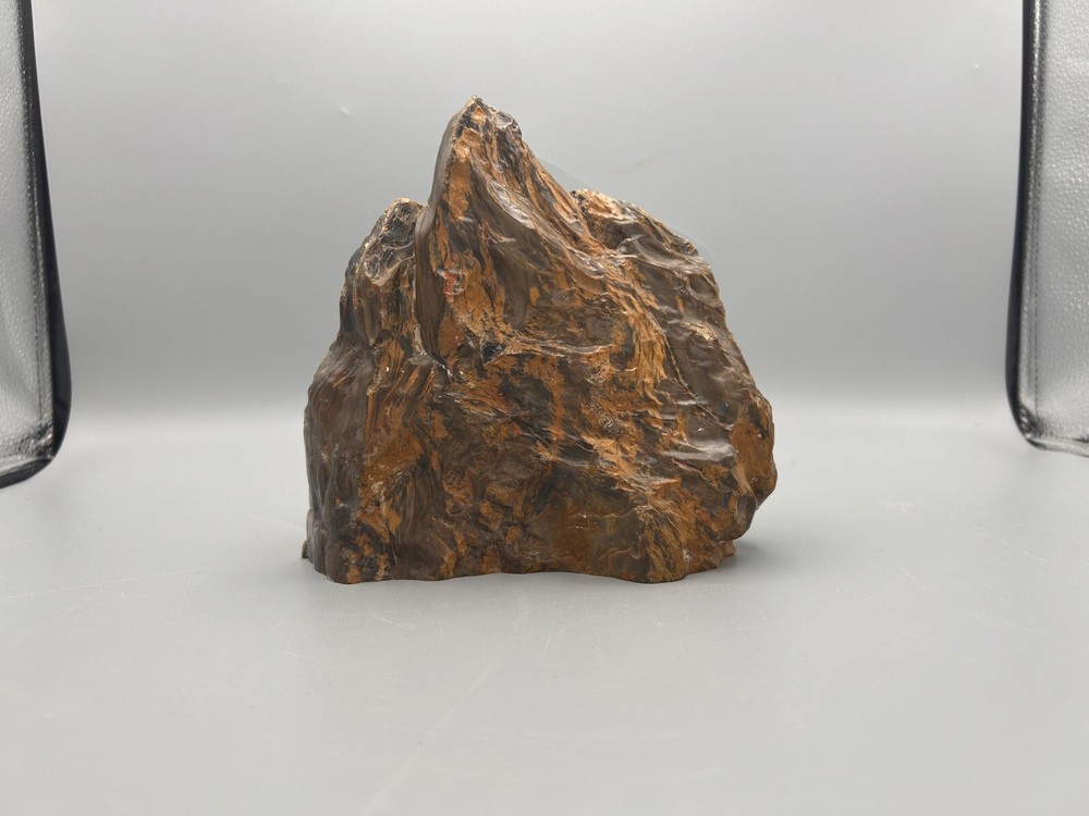 5lb Agatized Petrified Wood Nice specimen