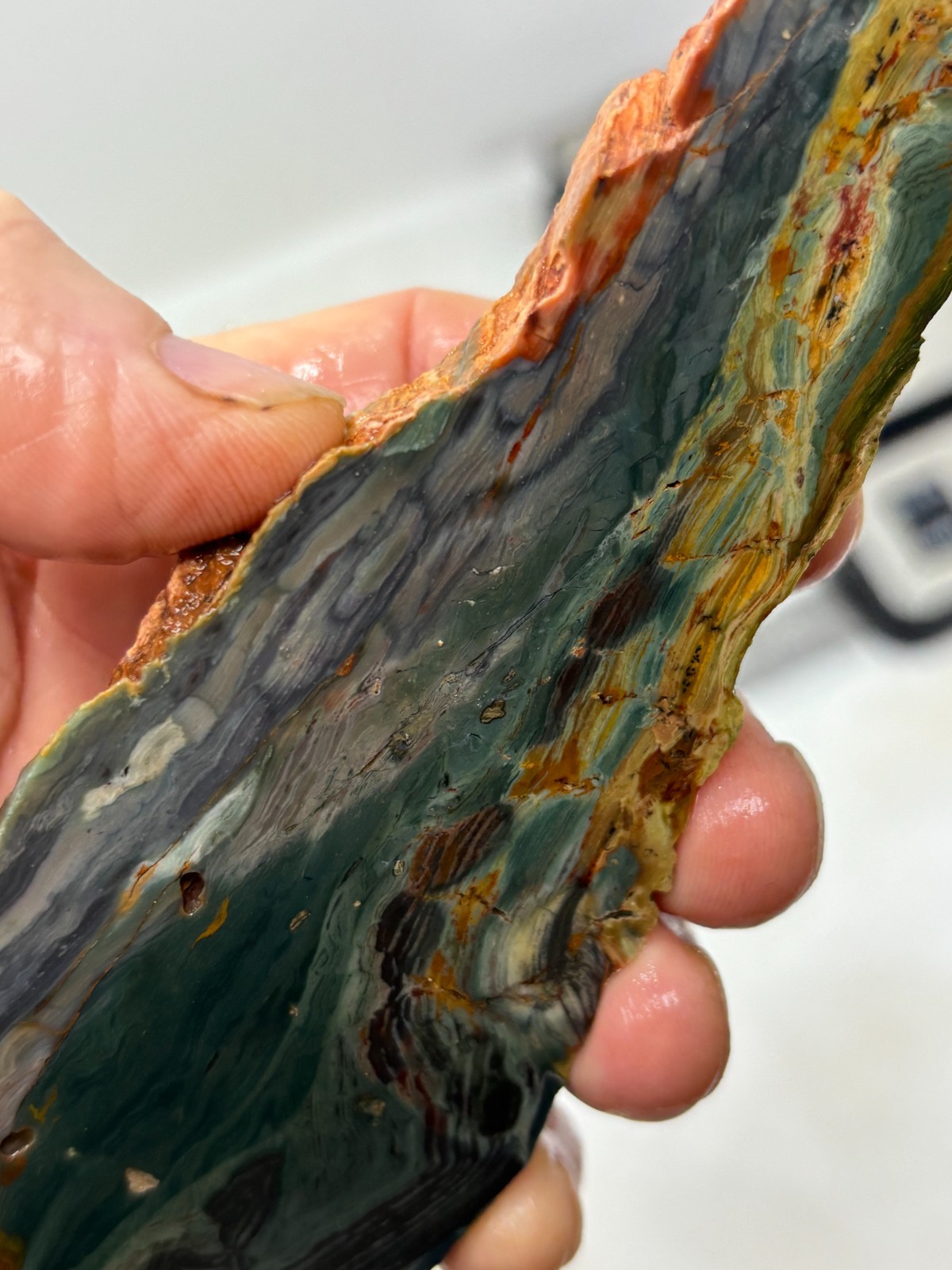 Gary Green Caldera Freedom Jasper Slab Cabbing Lapidary Combo Ship Avail