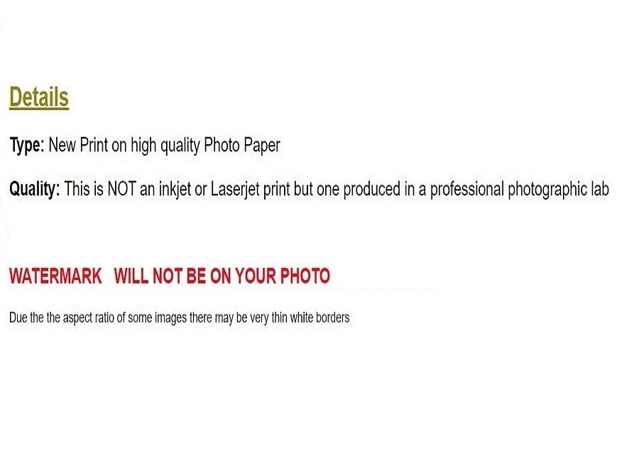 WW2 Picture Photo German Aces Erich Hartmann and Berkhorn 653 Victories 7480