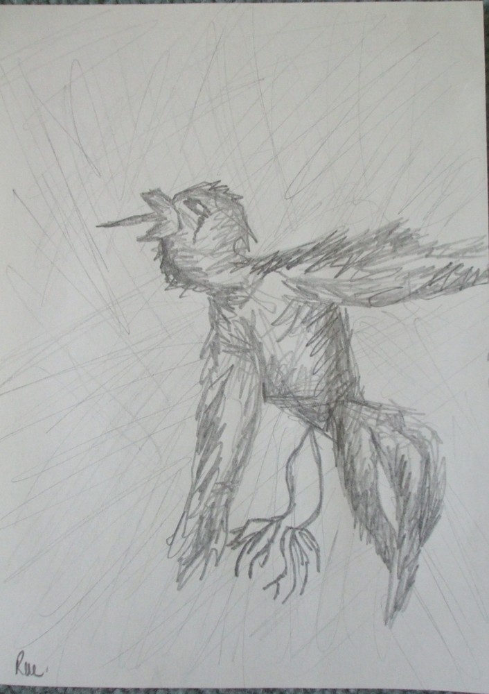 Dying bird (study 2) by Rae(2011)