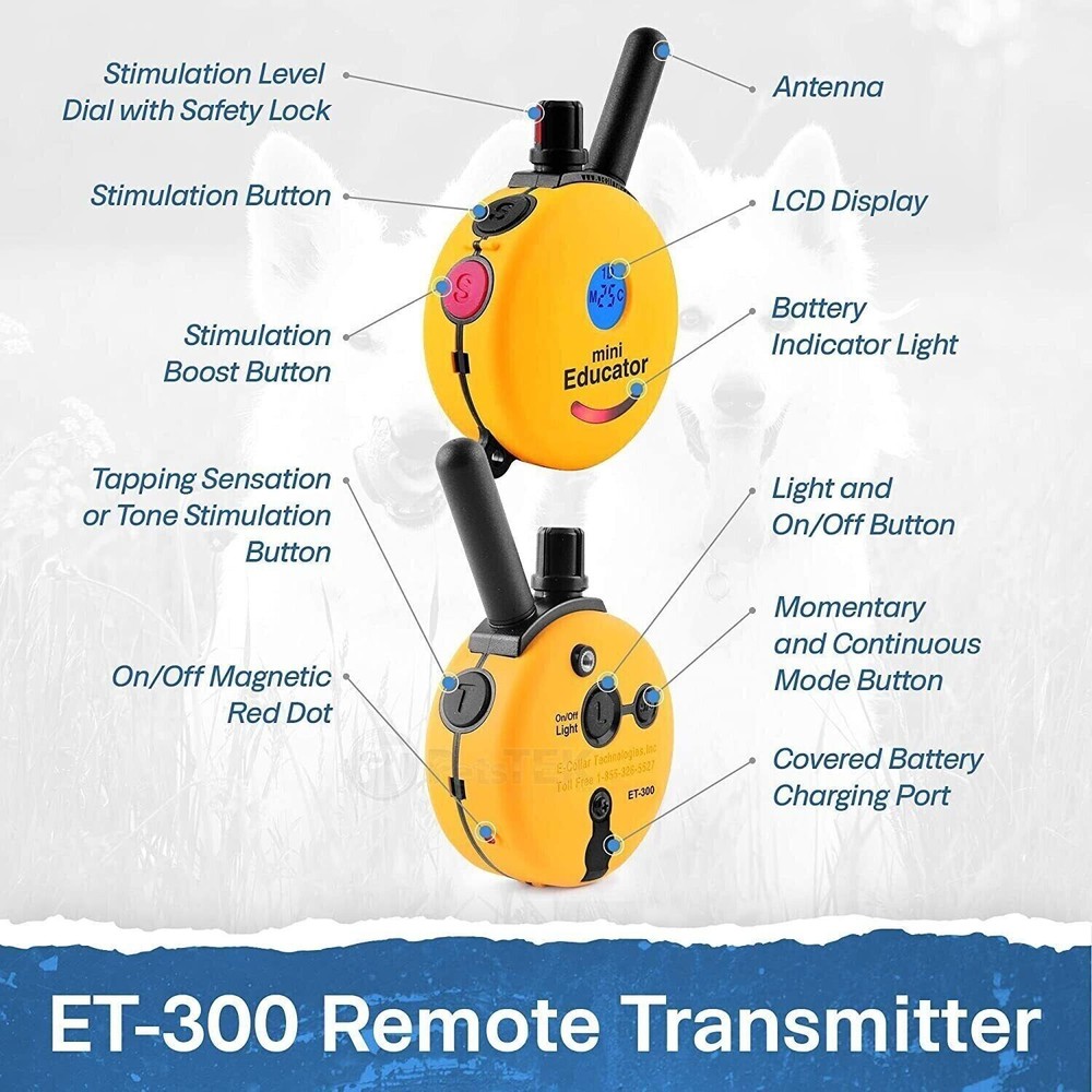 E-Collar Technologies ET-300 Mini Educator Remote Trainer NEW COLOR TEAL!