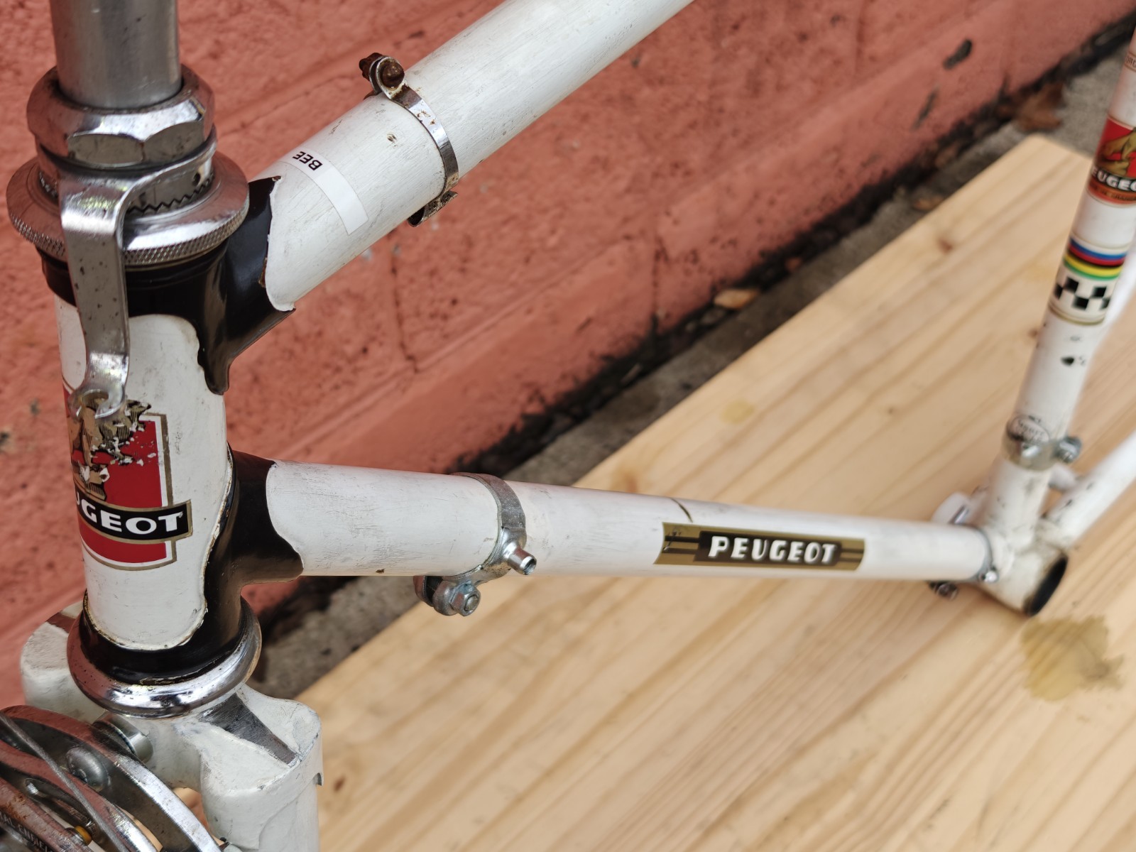 Peugeot PX-10 Vintage Bicycle Frame / Partial Bicycle 54/55cm