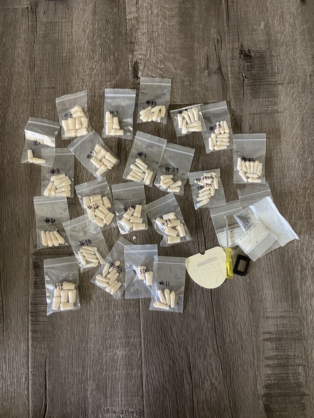 Kilgore Nissin Typodont Teeth Lot