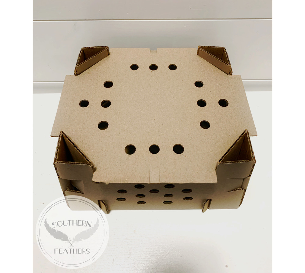 (10) High Quality Chick/Quail Shipping Boxes